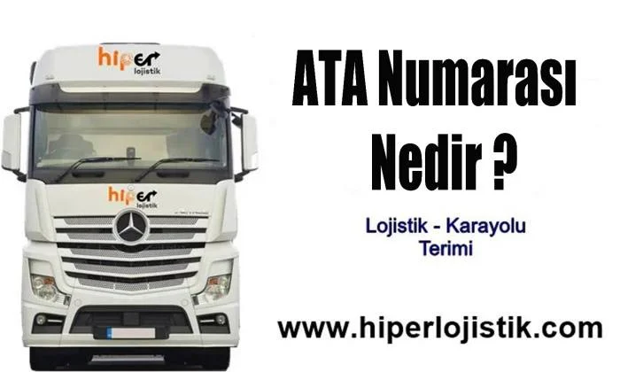 ATA Numarası nedir?