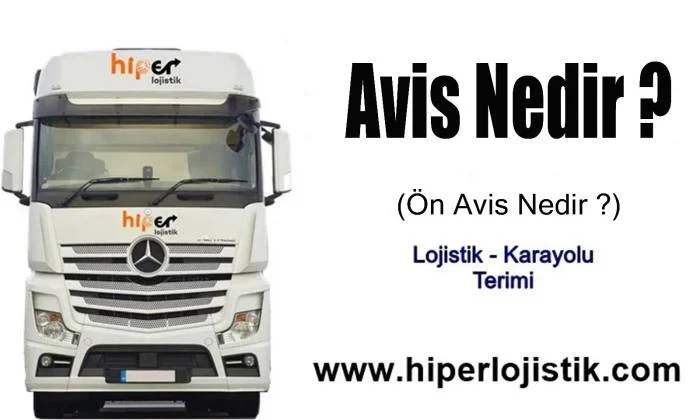 Avis Nedir?